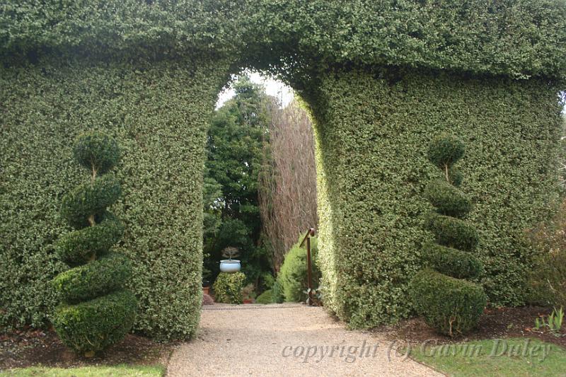 Topiary, Cloudehill Gardens IMG_6379.JPG